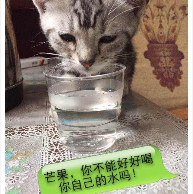 高中毕业证年龄错误怎么办